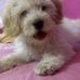 Sam Tafolla - Facebook