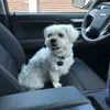 samtammy65 - @samtammy6545 - TikTok