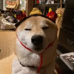 田中さん - @sam_tanaka_0523 - Instagram