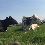 Sam Tasker - @tasker____ - Instagram