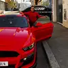 Sam I am - @sam.abu.tayeh - TikTok