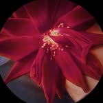 S.Tayeh - @s.a.m_tayeh - Instagram