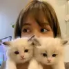 LALİSAM - @lalisam_tekledi - TikTok