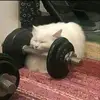 Sam Telfer - @sam.telfer7 - TikTok