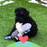Sam Telford - @telfordsam - Instagram