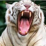 @sam_teller_2000 - Instagram
