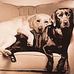 Sam Teller - Facebook