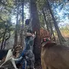 Sam Templeton - @samueltempleton5 - TikTok