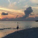 sam tep - @sam_tep - Instagram
