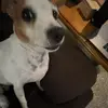 sam - @samtesi - TikTok