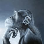 Sam Thach - @samthach667 - Instagram