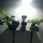 Sam Thach - @sam.thach.75054 - Instagram