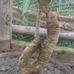 Sam Thach - Facebook
