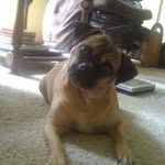 Sam Theis - @samjtheis - Instagram