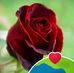 Sam Theo - Facebook