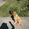 thom en Sam - @thom.en.sam - TikTok