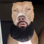 @sam_thrasher_ - Instagram
