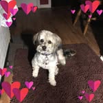 Samantha Thurber - @thurber.samantha - Instagram