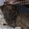sam_tighe - @sam_tighe - TikTok