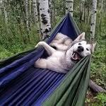тохиров самир - @tokhirov.samir - Instagram
