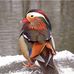 Sam Tom - Facebook