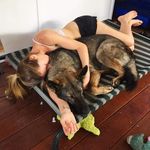 Sam Tomlin - @sam.and.shep - Instagram