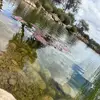 Sam Torres - @samtorres270 - TikTok