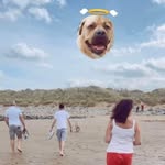 Sam Tracey - @samtracey74 - Instagram