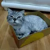 Sam Tran - @sam.tran.2409 - TikTok