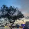SamTran - @samtran399 - TikTok