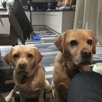 Sam Treacy - @samtreacy3 - Instagram