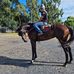 Sam Trott - Facebook