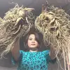 Thảo Sâm Trường Bạch - @samtruongbach89 - TikTok