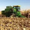 Sam Tyler - @tyler_farms_nc - TikTok