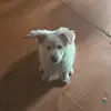 sam.valentin10 - @sam.valentin - TikTok