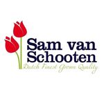 Sam van Schooten B.V. - @samvanschootenflowerbulbs - Instagram