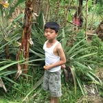 Sam Vasquez - @samstomb - Instagram