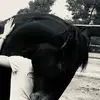 Sam Vasquez - @samvasquez215 - TikTok