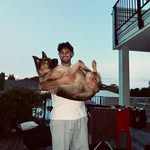 Sam Vea - @sam__vea - Instagram