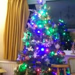 Sam Veall - @sam.veall.520 - Instagram