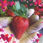 Sam Verde - Facebook