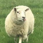 Sam Waddy - @samwadsworth135 - Instagram