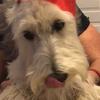 Samuel - @samuel_waggoner - TikTok
