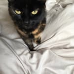Sam - @_sam_wake_ - Instagram