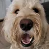 Sam Wakefield - @samwakefield46 - TikTok
