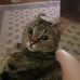 Sam Walt - Facebook