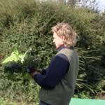 Sam Walton - @oh.samwalton - Instagram