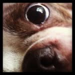 sam_waltshow - @sam_waltshow - Instagram