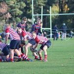 Sam Wardlaw - @samwardlaw06 - Instagram