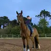 sam - @sam_ware - TikTok